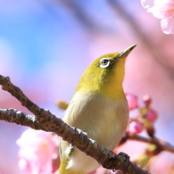 春めいた日差しの中で