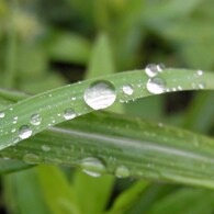 水滴