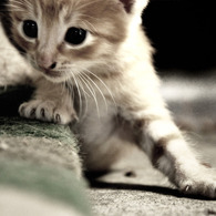 stand up !