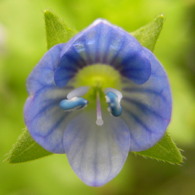 R0010182