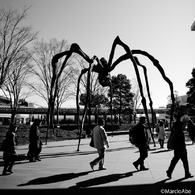 Street Photography - Roppongi Hills Mori