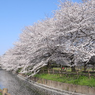 R0011791