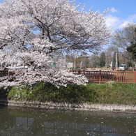 R0011716