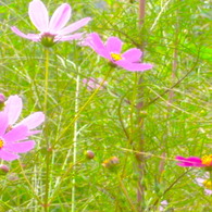 R0010818