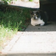 おこしやす～