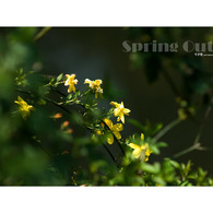 [10.04]天山公園