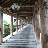 長谷寺　石段