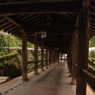 長谷寺　石段２