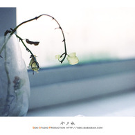 Film Vol.01