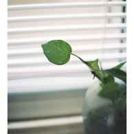 Film Vol.01