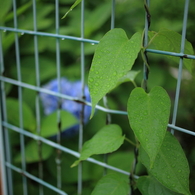 201006300012