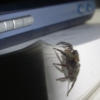 ぜ~、ぜ~っ、疲れた(-_-;)