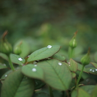 201006300108