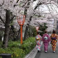 曇り空でも晴れやかに