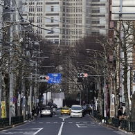 西新宿への道