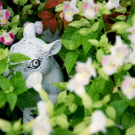 Hide and go seek! 1 