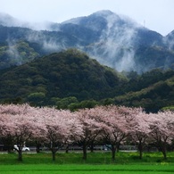 立ち昇る