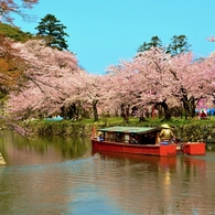 彦根城濠巡り
