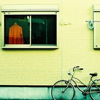 agfa x-pro