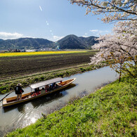 のどけき春