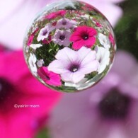 花玉
