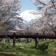 新名庄川から