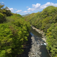 初夏の猿橋と桂川2