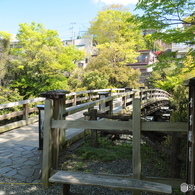 初夏の猿橋と桂川4