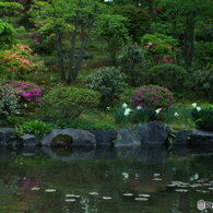 日本庭園3