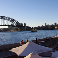 IMGP3946