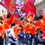 AOMORI春フェス 2017 XI