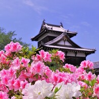 ツツジが彩る郡山城