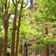 marunouchi-228