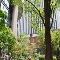 marunouchi-225
