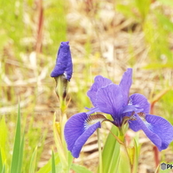 DSCF0362