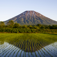 夕焼けに染まる逆さ蝦夷富士羊蹄山