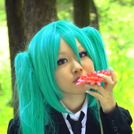 コスコテⅩⅠ