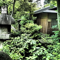 東京22