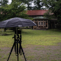 雨中の撮影