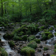 DSC00312(1)