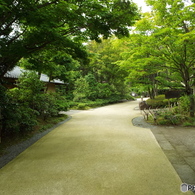 日本庭園2