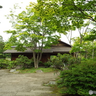 日本庭園3
