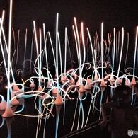 輝く球根の水耕栽培？　それとも宇宙からの侵入者？