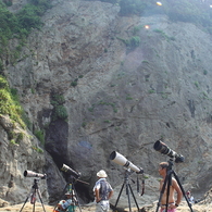 長いのが沢山