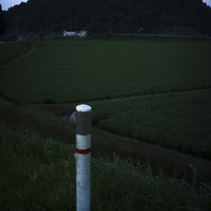 おもたい朝の散歩３