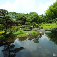 日本庭園7