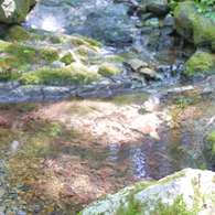 御岳山のせせらぎ