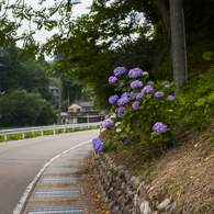 夏が来る３