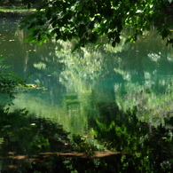 夏の丸池様-1