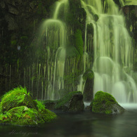 Healing green...